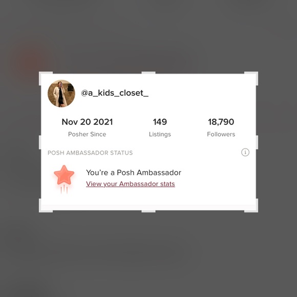 Meet your Posher, Vessi ๐ฅณ - Picture 3 of 4